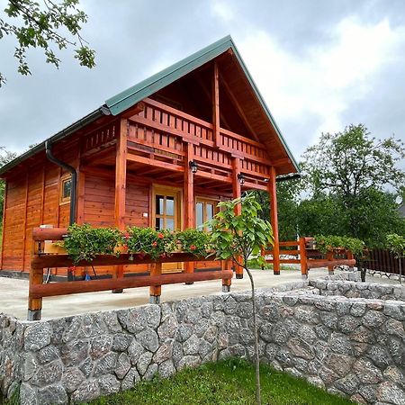 Willa Brvnare Cirkovic Zlatibor Zewnętrze zdjęcie